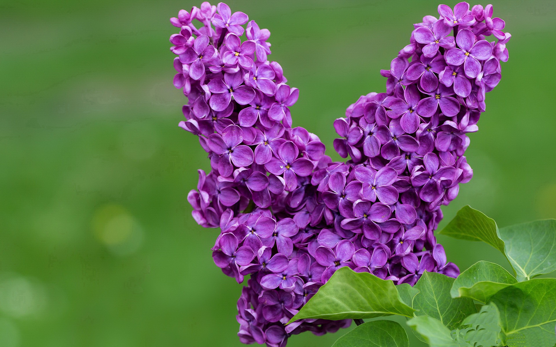 爱游戏综合娱乐-守望先锋 战队新阵容成形，守望先锋最强战队2020