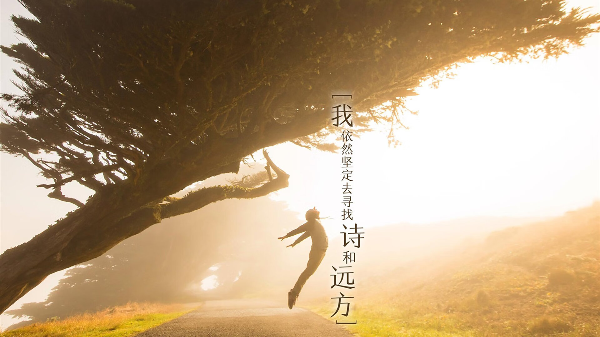 爱游戏娱乐平台-德甲注重绿色环保足球场建设，打造可持续发展典范，设计足球场如何节约城市空间