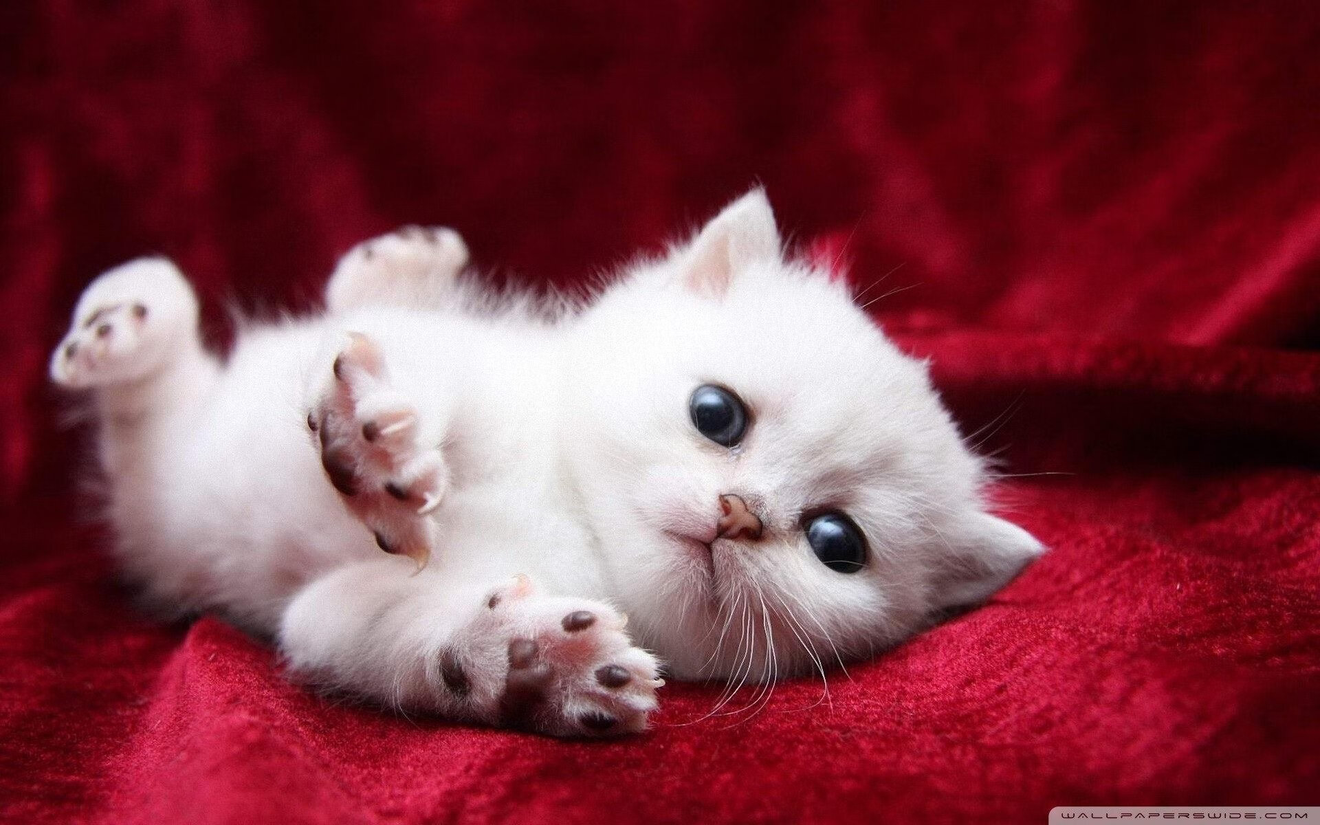 爱游戏app下载-法甲战术多变，精彩配合不断创建佳绩，法甲战况