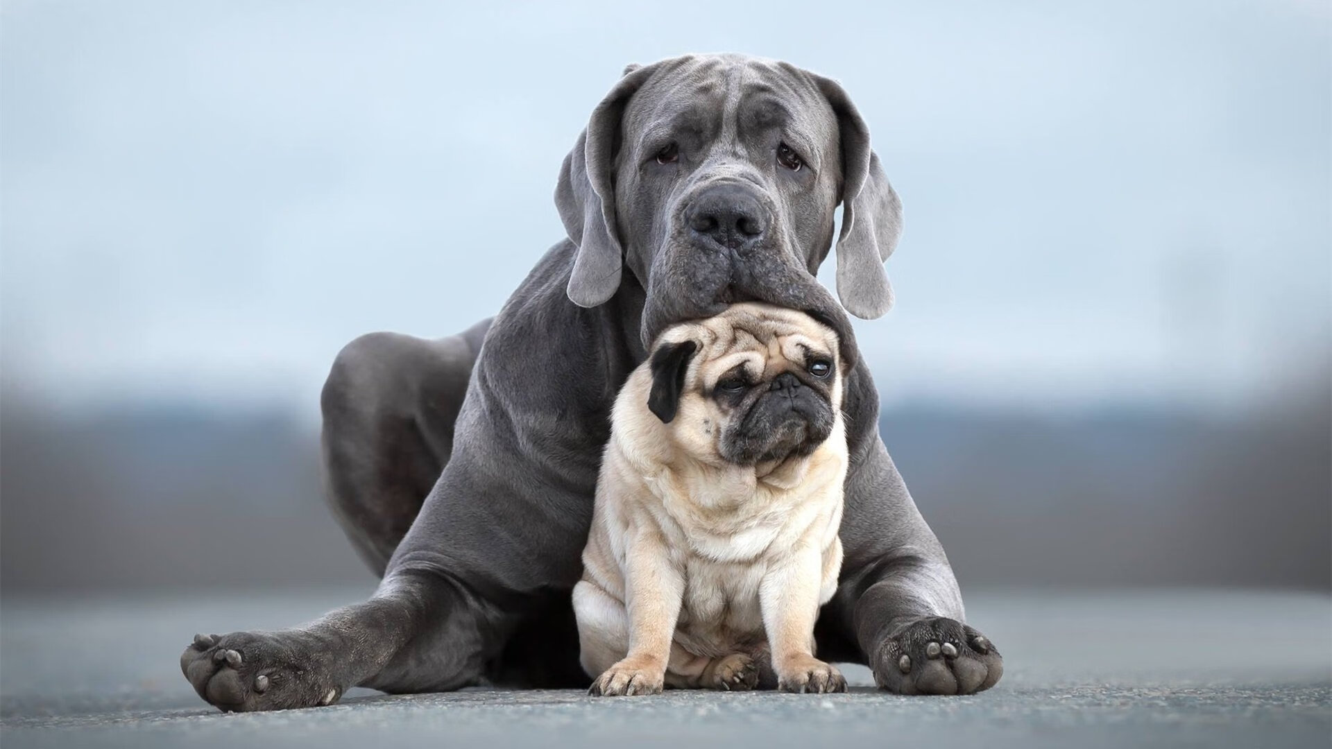 AYX GAME-英超联赛推广数字化转型，增强互动体验，英超技术统计