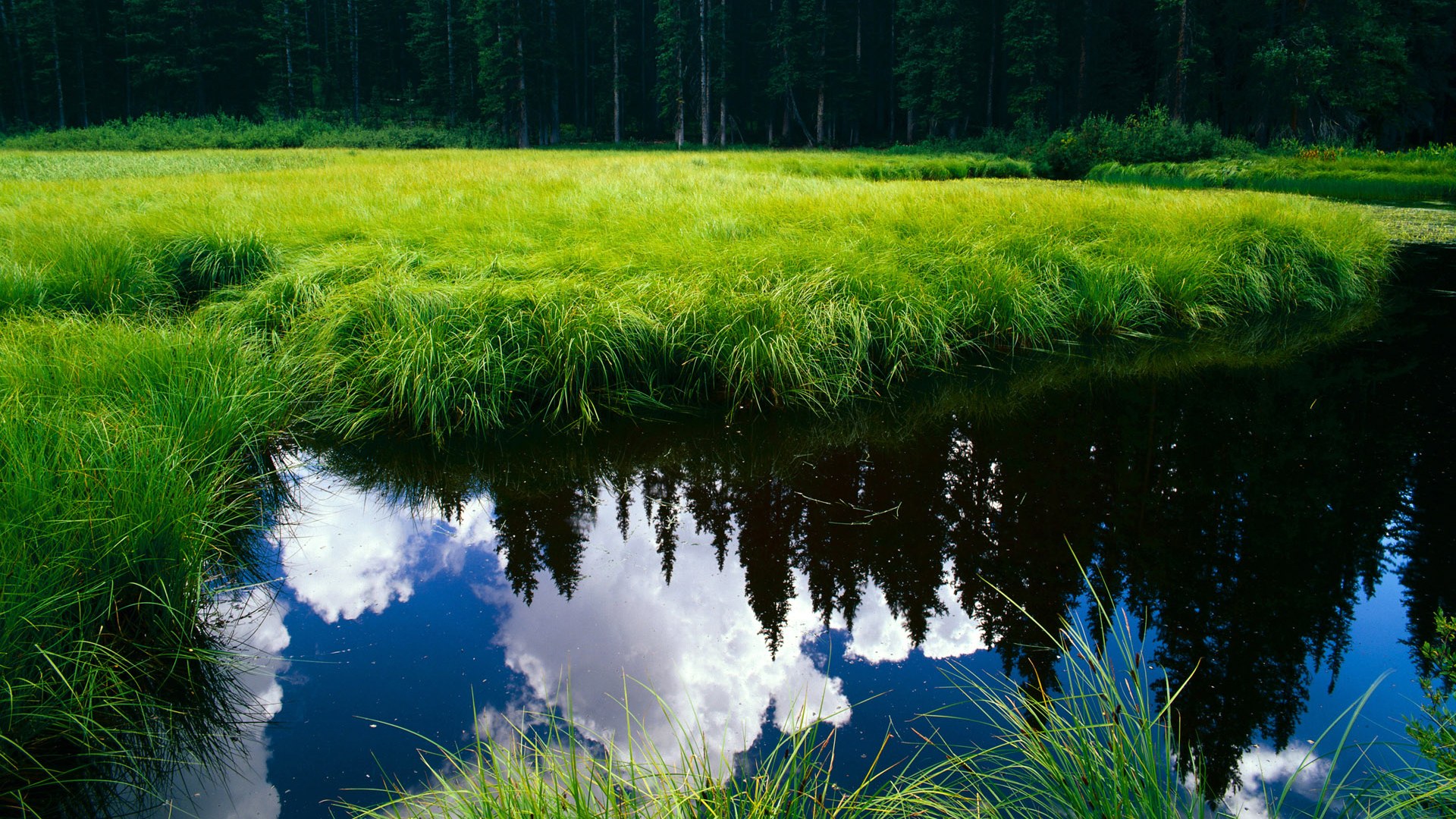 -选手表现评价：谁是MVP，谁是最佳进步奖？，mvp谁评选的