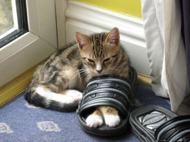 爱游戏体育APP下载-青少年篮球“未来领跑者”训练营在南京揭幕，未来篮球公园南京