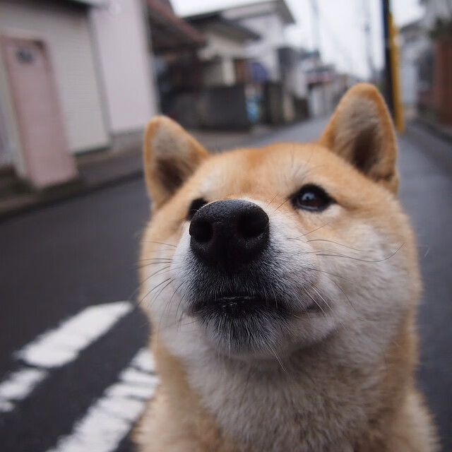 爱游戏下载-卡利亚里客场力克对手，取得宝贵分，卡利亚里阵容最新