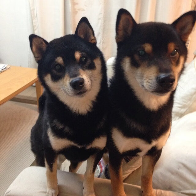 AYX体育-篮球运动员综合素质提升计划，篮球素质训练计划