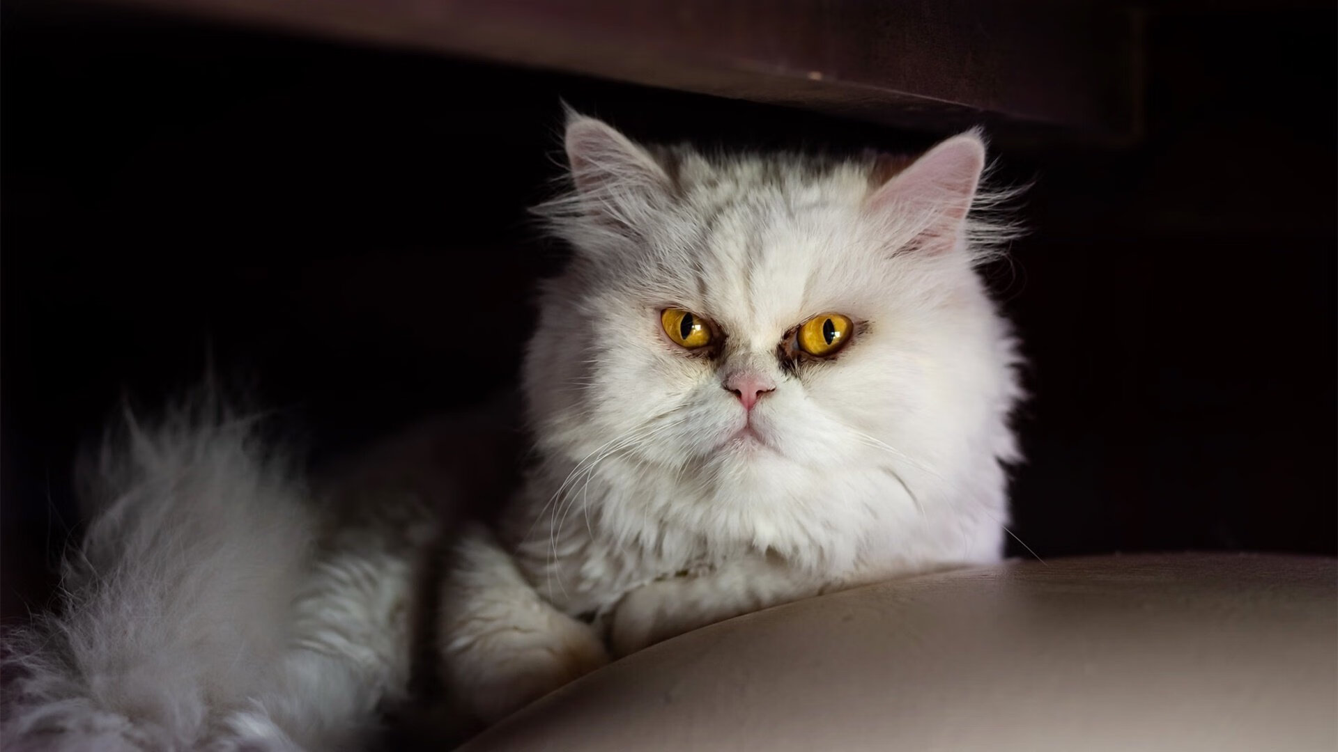 爱游戏中国官方登录入口网站-腾讯电竞赛事体系加强数据分析应用，腾讯电竞报告