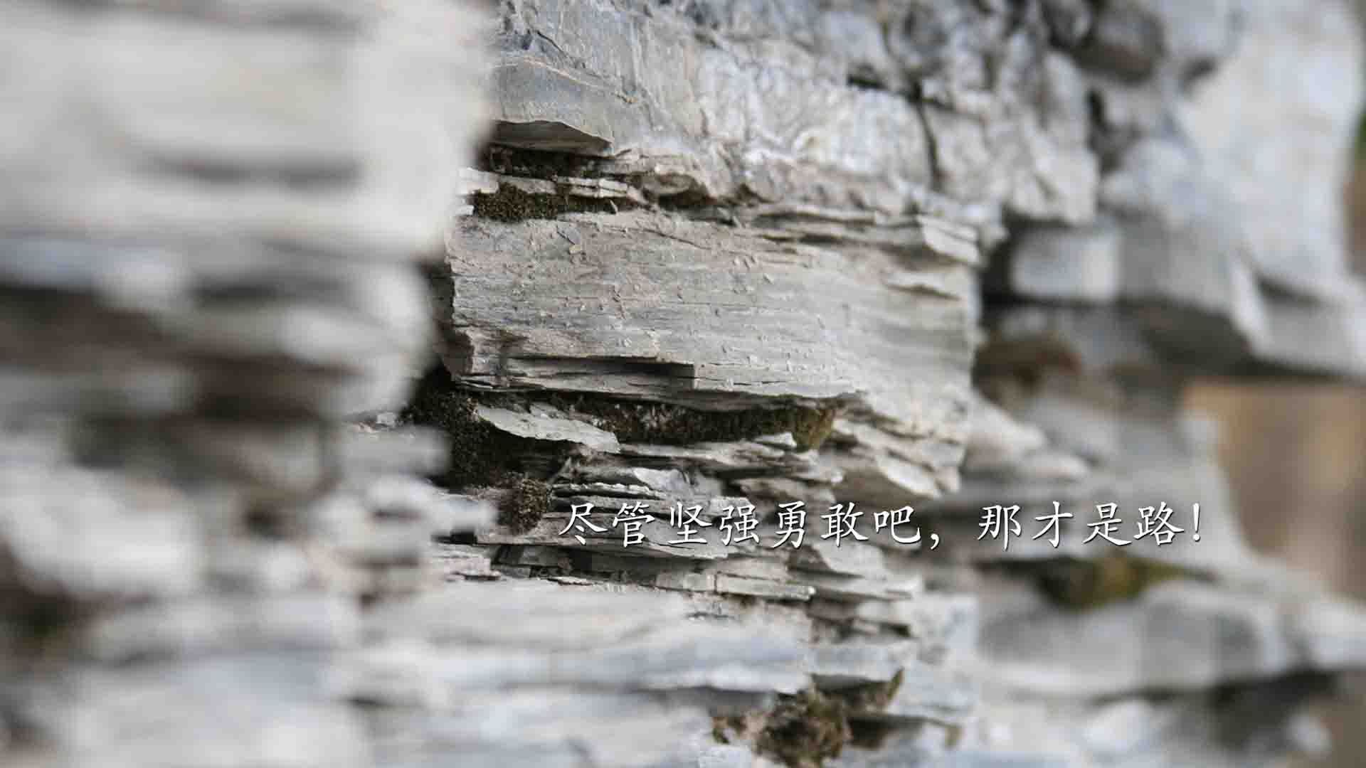 NBA球队市场营销策略与品牌建设,nba的营销策略