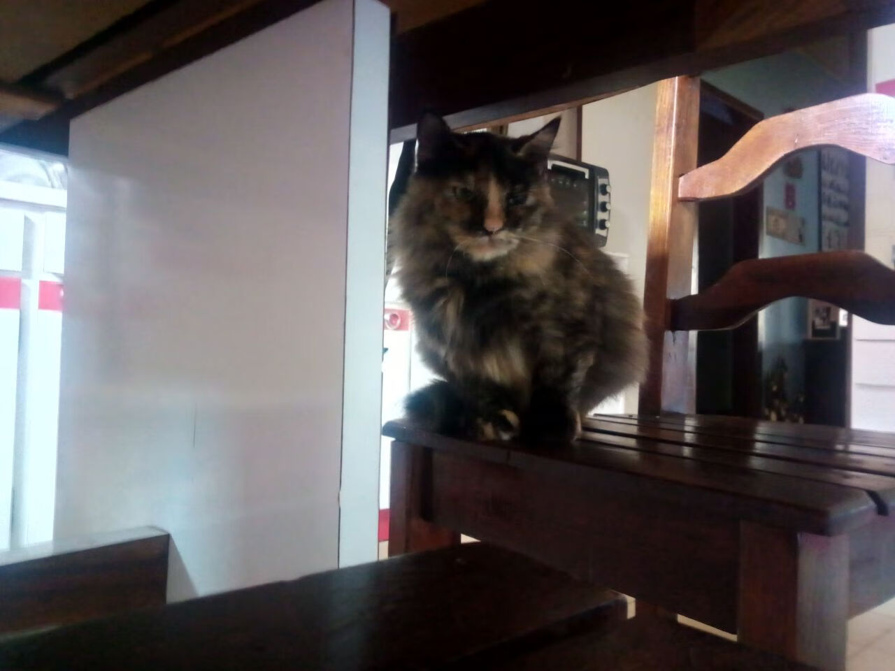 亚洲杯中国队逆袭 球员拼搏精神引关注，亚洲杯中国球员名单