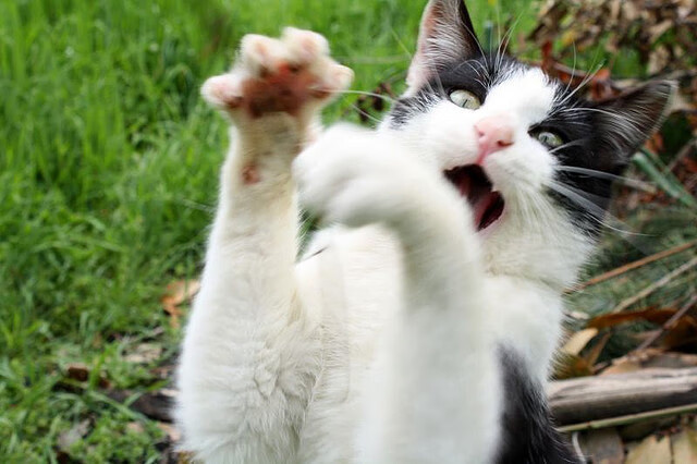 对抗最激烈的分区大战全回顾，分区决赛是什么意思