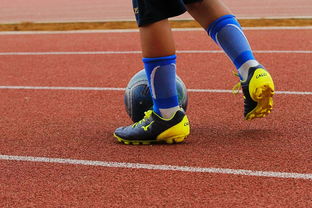 爱游戏体育官方网站-明星球员带动体育产业发展，打造体育明星的弊端